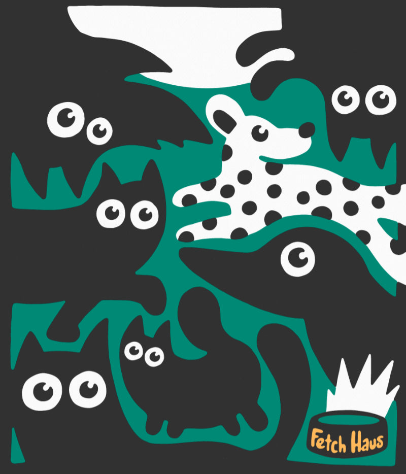 Fetch Haus – Mural Art